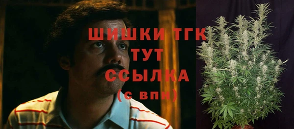 дурь Аркадак