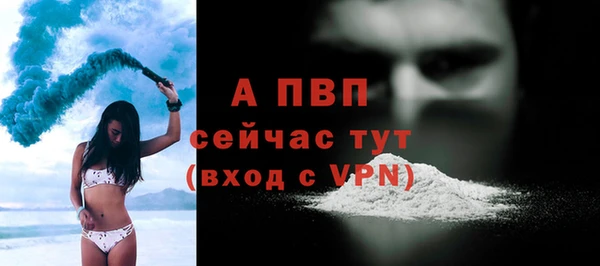 стафф Арсеньев
