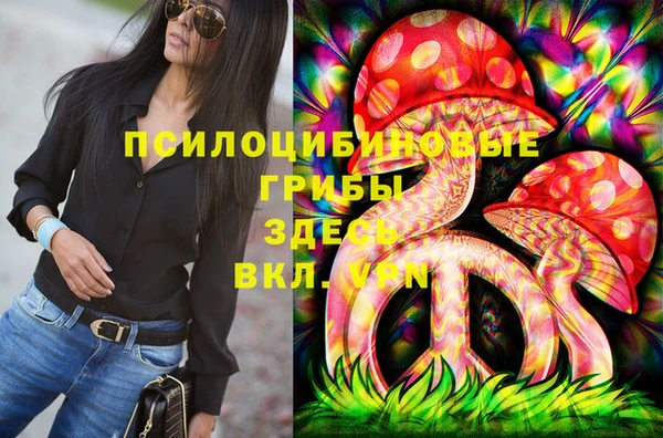 дурь Аркадак