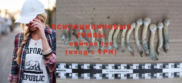 стафф Арсеньев