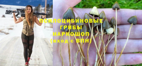 стафф Арсеньев