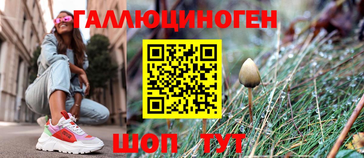 Псилоцибиновые грибы мухоморы  Вход с VPN  Нижний Новгород 