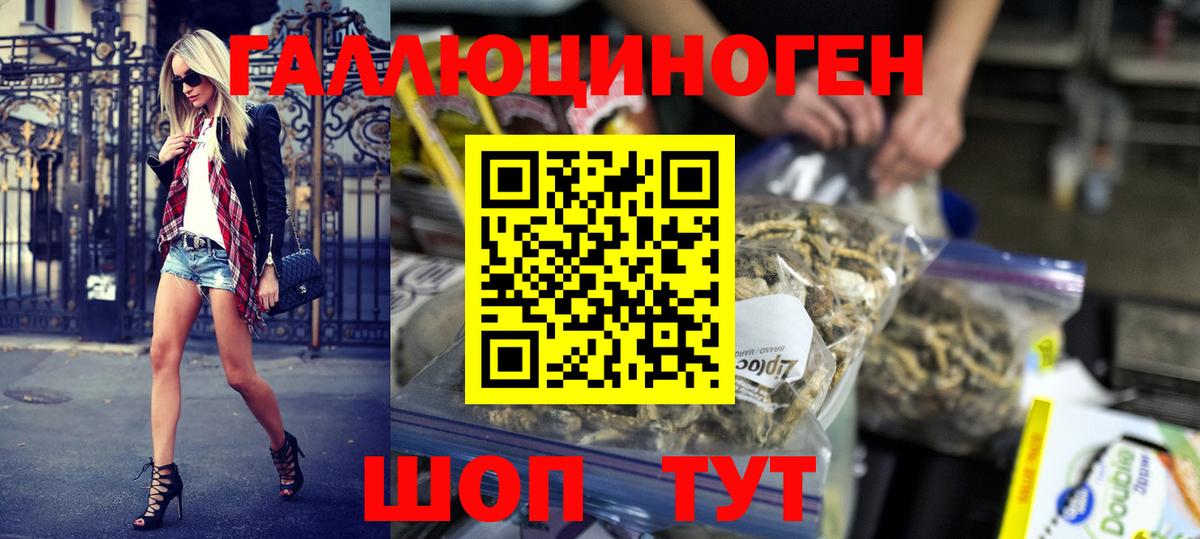 Галлюциногенные грибы прущие грибы Нижний Новгород